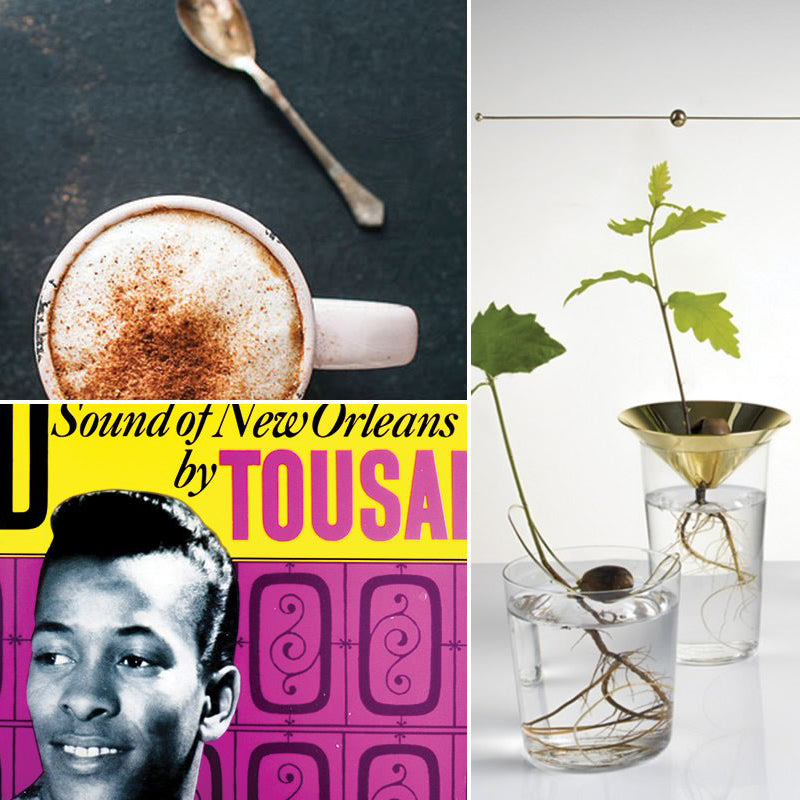  The Twelve: Twelve things we’re thankful for this November